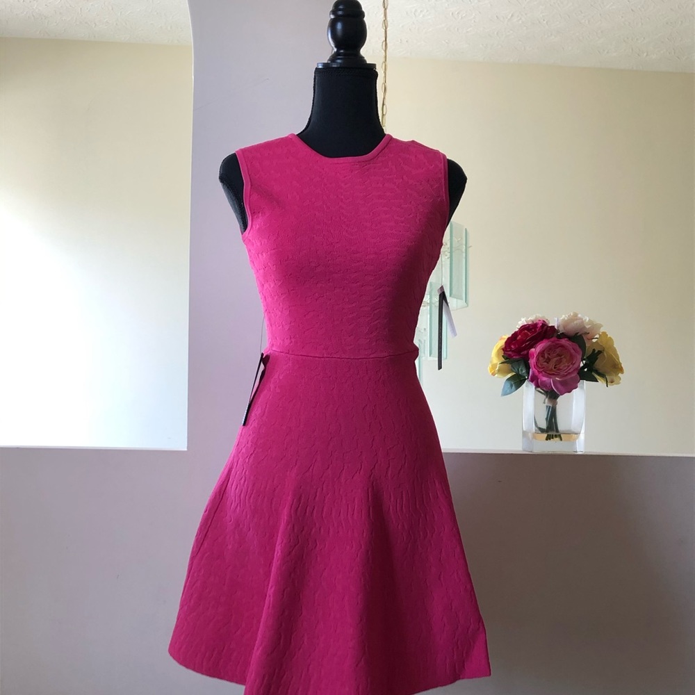 Pink Eva Longoria Collection Dress